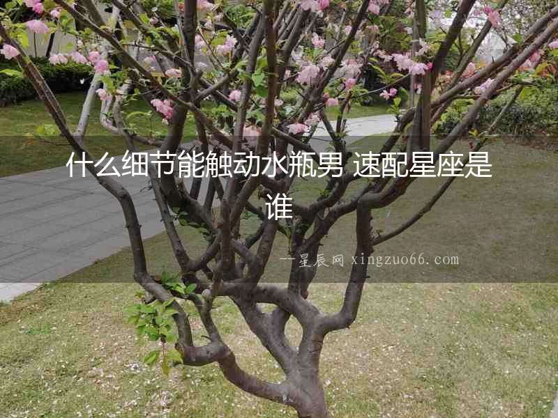 什么細節能觸動水瓶男 速配星座是誰