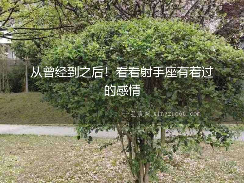 從曾經到之后！看看射手座有著過的感情