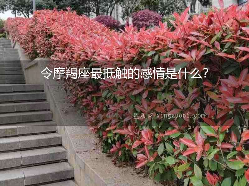 令摩羯座最抵觸的感情是什么？