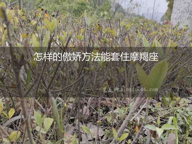 怎樣的傲嬌方法能套住摩羯座