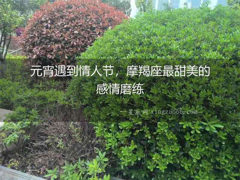 元宵遇到情人節，摩羯座最甜美的感情磨練