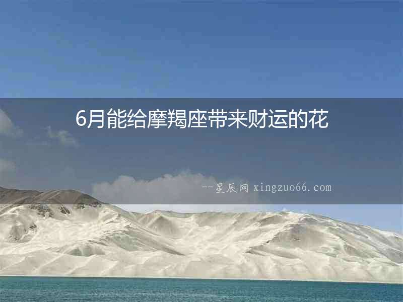 6月能給摩羯座帶來財運的花