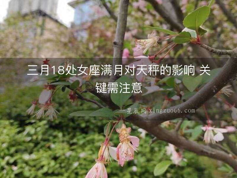 三月18處女座滿月對天秤的影響 關鍵需注意