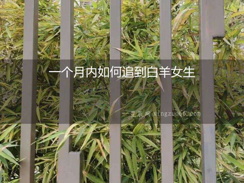 一個月內如何追到白羊女生