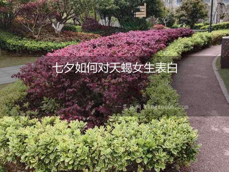 七夕如何對天蝎女生表白