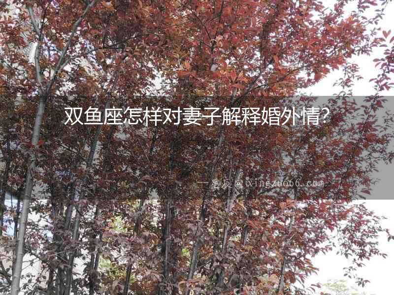 雙魚座怎樣對妻子解釋婚外情？