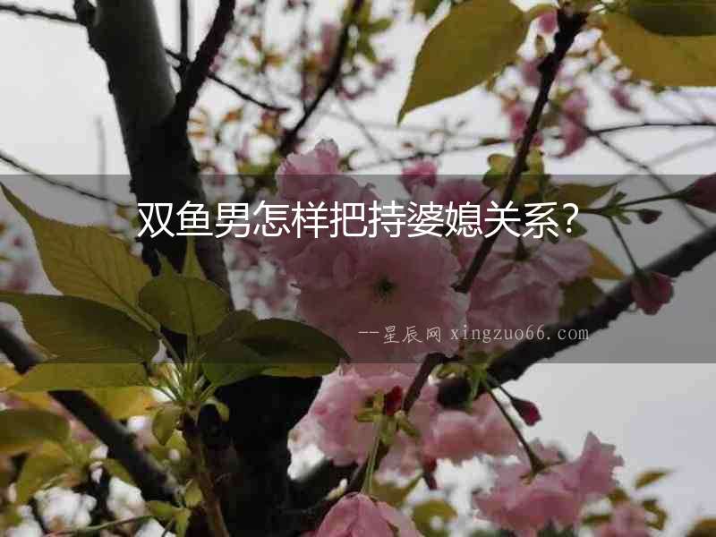 雙魚男怎樣把持婆媳關系？