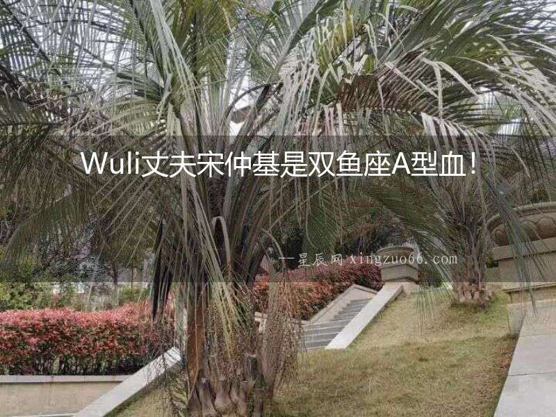 Wuli丈夫宋仲基是雙魚座A型血！