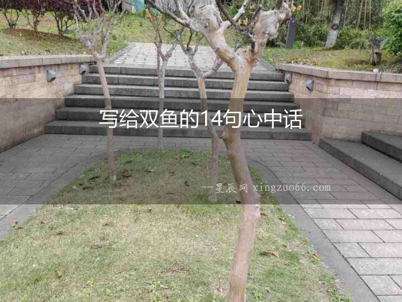 寫給雙魚的14句心中話