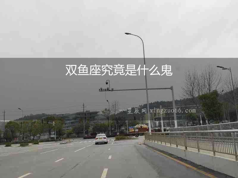 雙魚座究竟是什么鬼