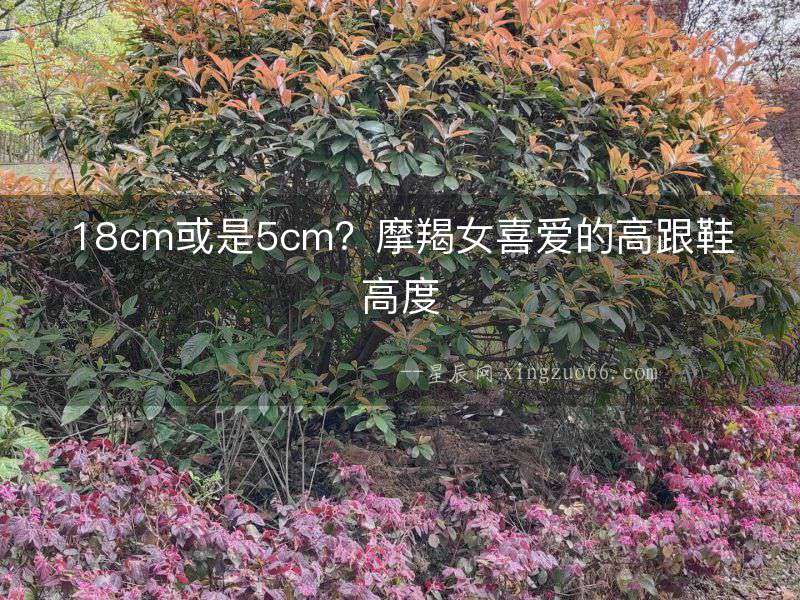 18cm或是5cm？摩羯女喜愛的高跟鞋高度