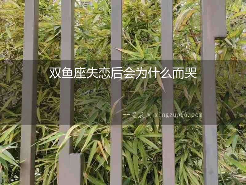 雙魚座失戀后會為什么而哭
