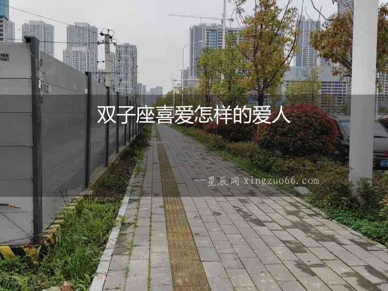 雙子座喜愛怎樣的愛人