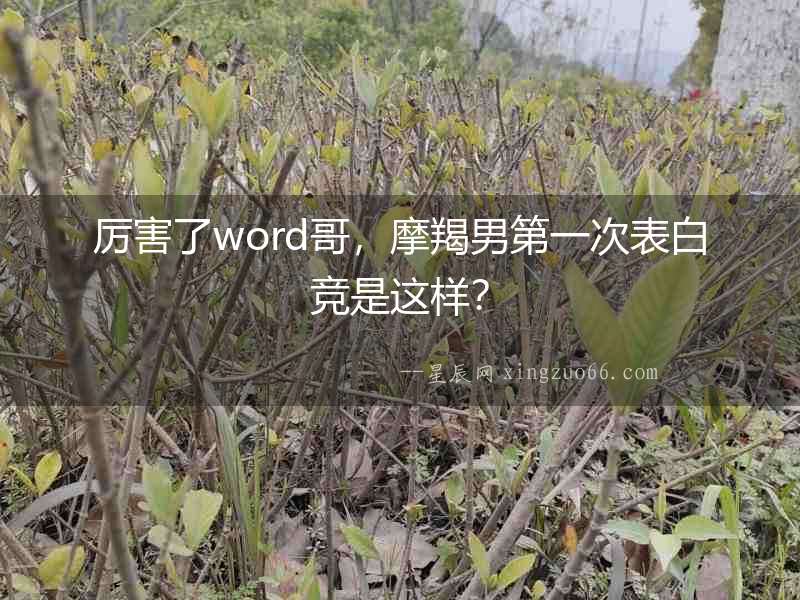 厲害了word哥，摩羯男第一次表白競是這樣？