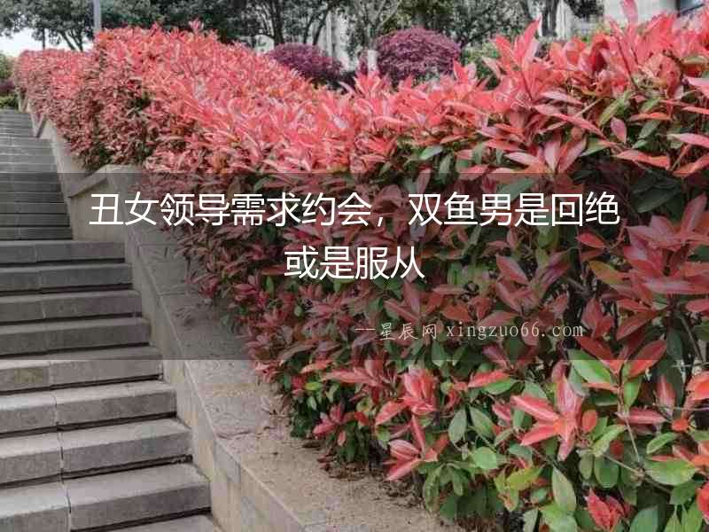 丑女領導需求約會，雙魚男是回絕或是服從