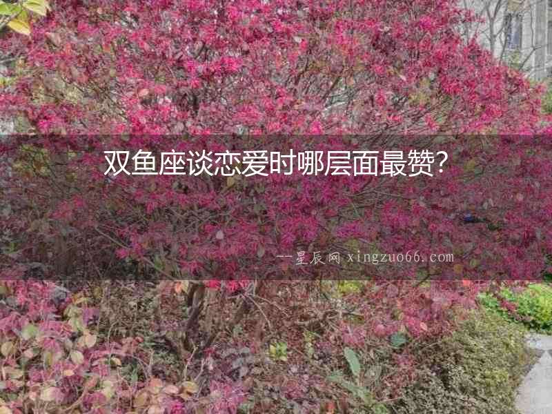 雙魚座談戀愛時哪層面最贊？