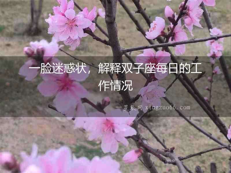 一臉迷惑狀，解釋雙子座每日的工作情況