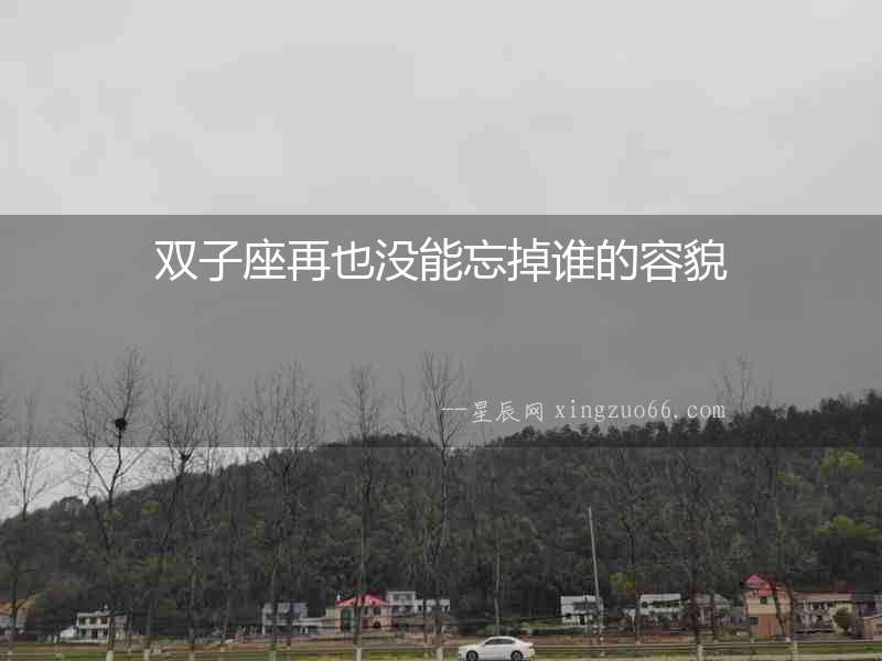 雙子座再也沒能忘掉誰的容貌