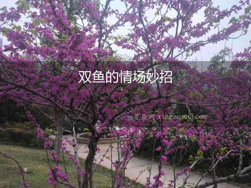 雙魚的情場妙招