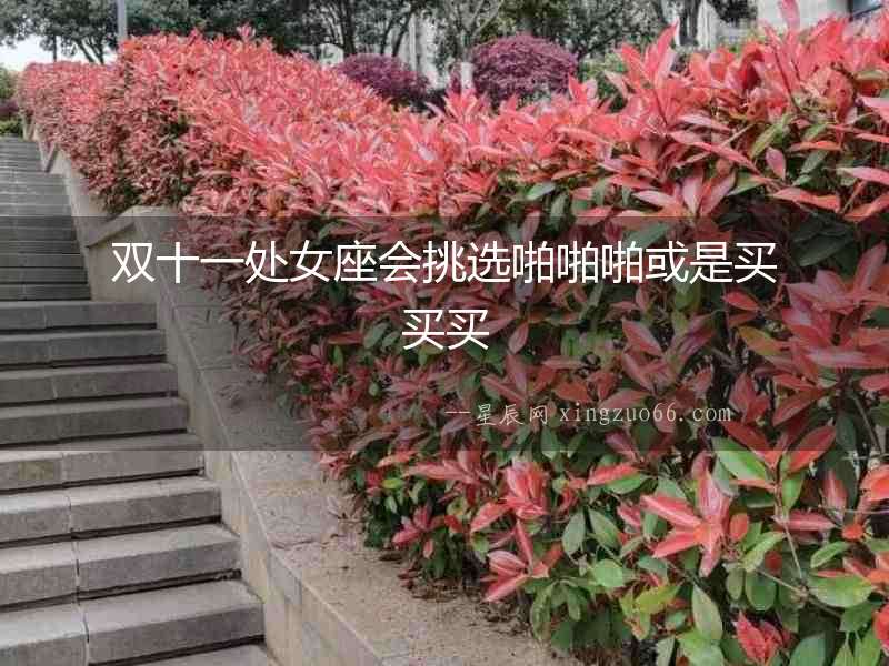 雙十一處女座會挑選啪啪啪或是買買買