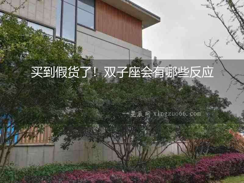 買到假貨了！雙子座會有哪些反應