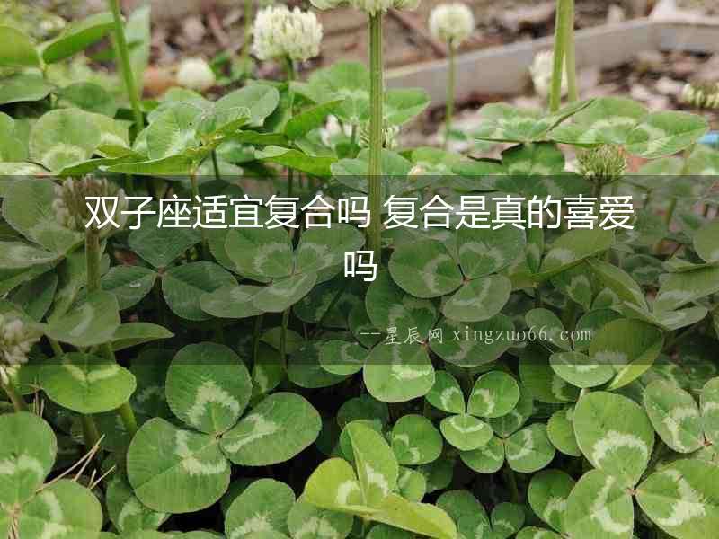 雙子座適宜復合嗎 復合是真的喜愛嗎