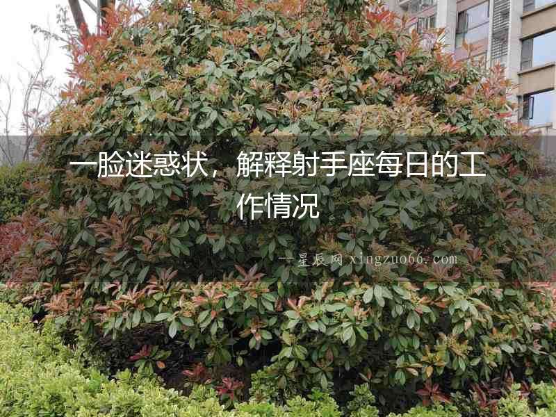 一臉迷惑狀，解釋射手座每日的工作情況