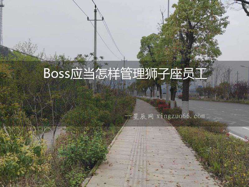 Boss應當怎樣管理獅子座員工