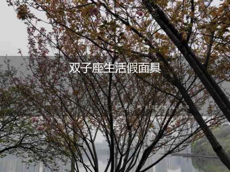 雙子座生活假面具