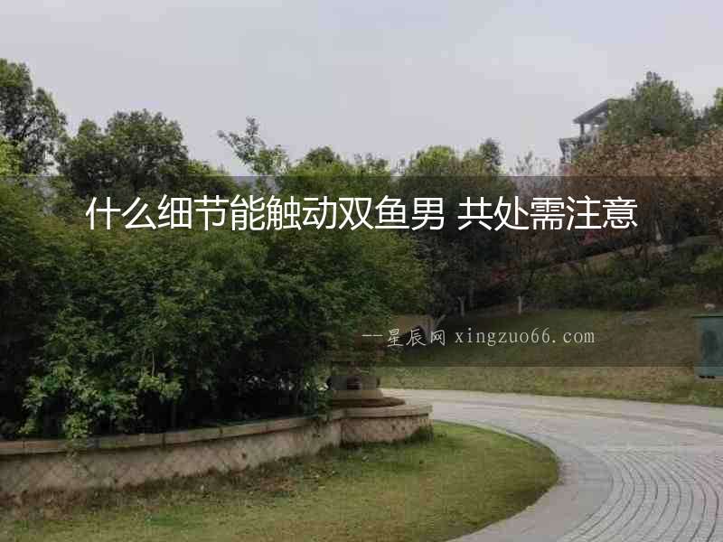 什么細節(jié)能觸動雙魚男 共處需注意