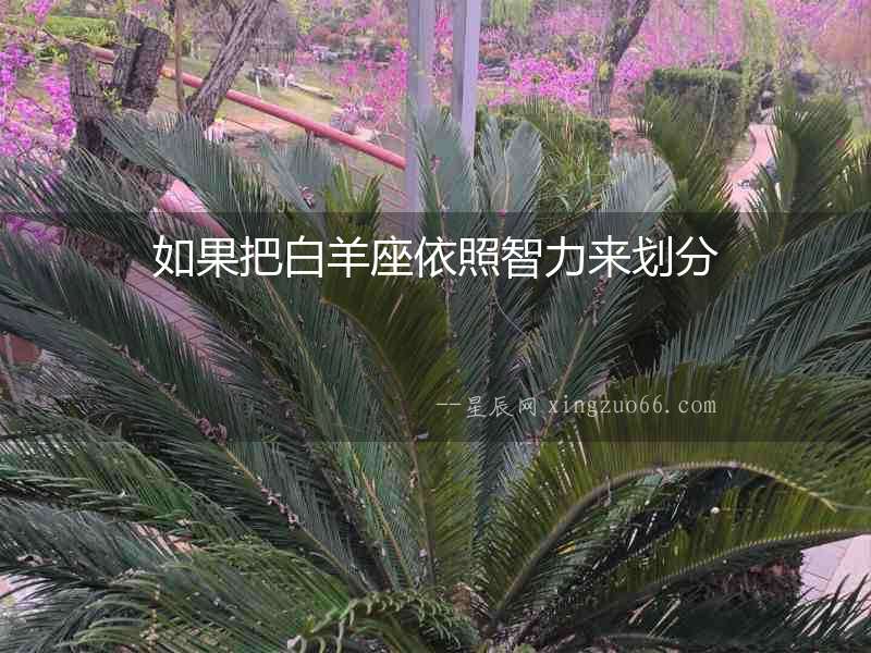 如果把白羊座依照智力來劃分