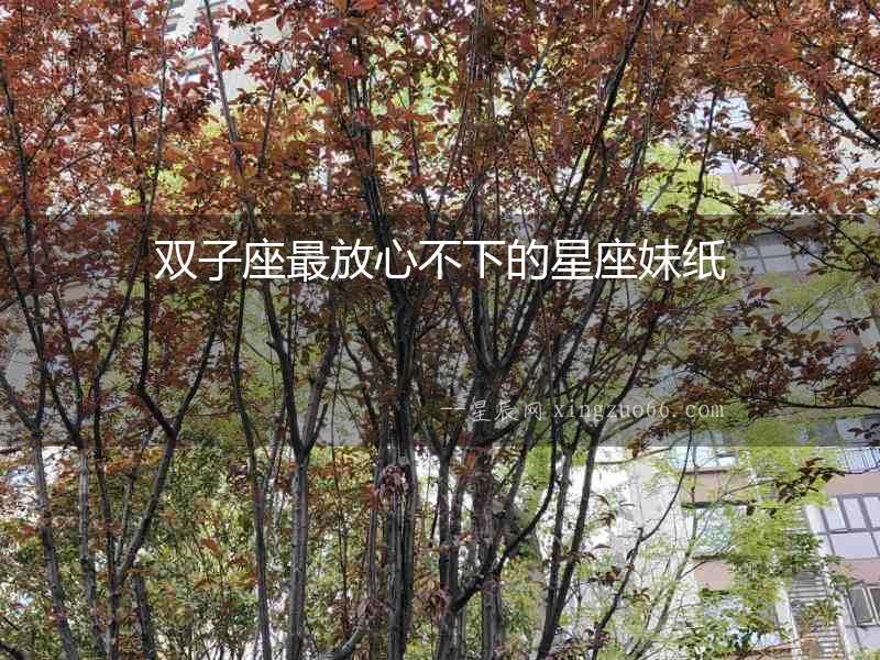 雙子座最放心不下的星座妹紙
