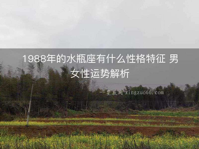 1988年的水瓶座有什么性格特征 男女性運勢解析