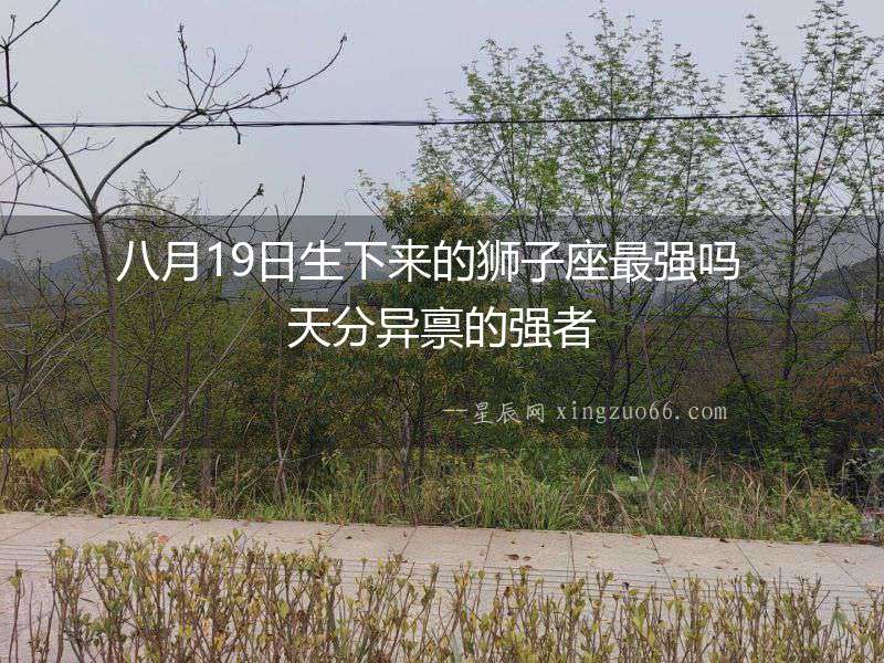 八月19日生下來的獅子座最強嗎  天分異稟的強者