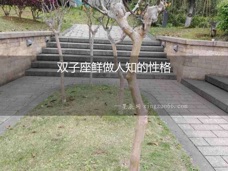 雙子座鮮做人知的性格