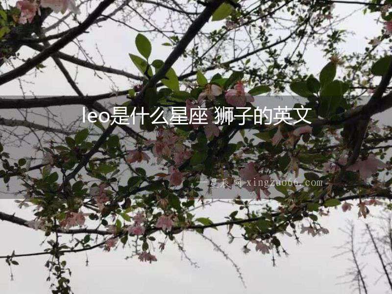 leo是什么星座 獅子的英文
