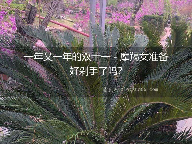 一年又一年的雙十一－摩羯女準備好剁手了嗎？