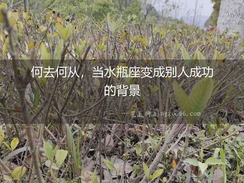 何去何從，當(dāng)水瓶座變成別人成功的背景