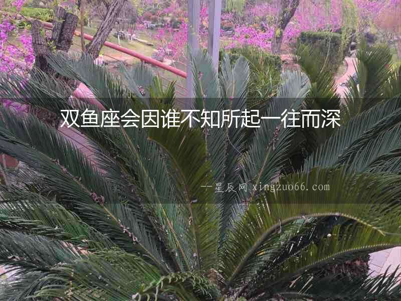 雙魚座會因誰不知所起一往而深