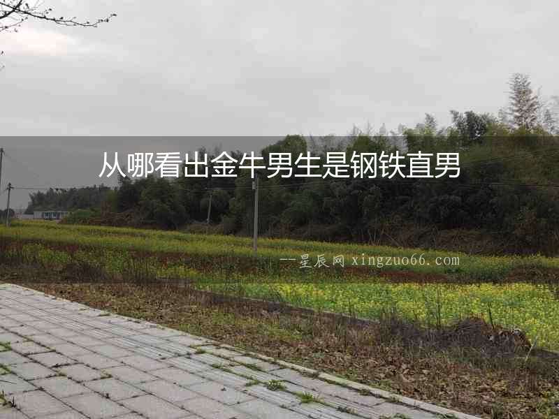 從哪看出金牛男生是鋼鐵直男