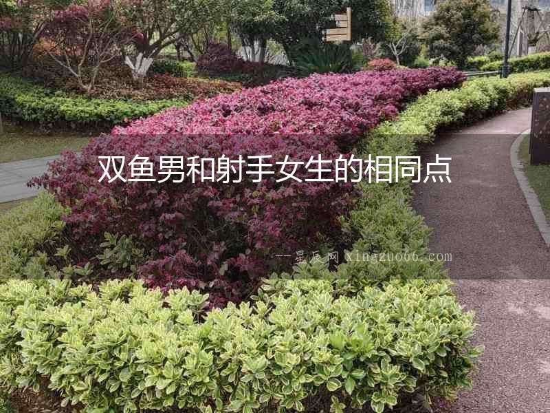 雙魚男和射手女生的相同點