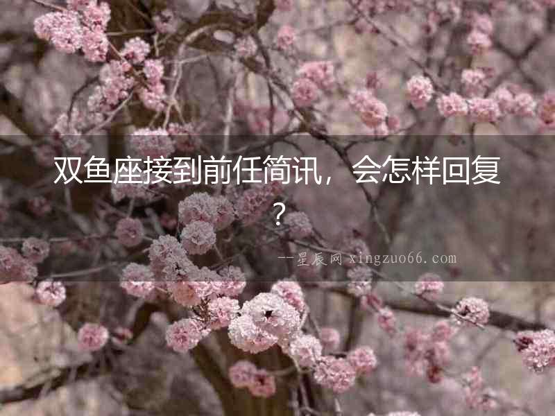 雙魚座接到前任簡訊，會怎樣回復(fù)？