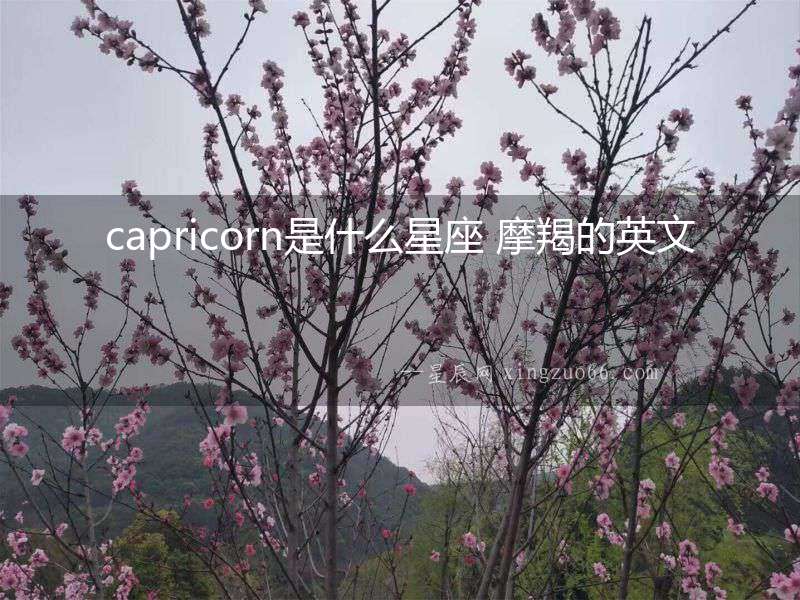 capricorn是什么星座 摩羯的英文
