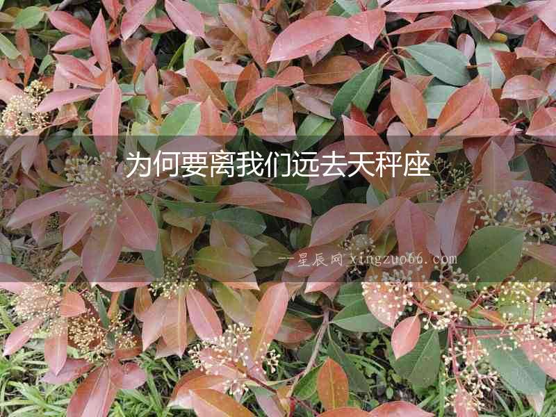 為何要離我們遠(yuǎn)去天秤座