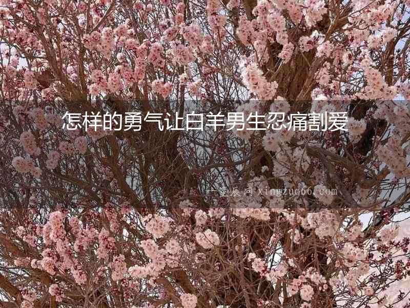 怎樣的勇氣讓白羊男生忍痛割愛