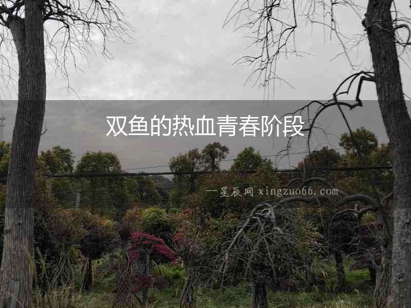 雙魚的熱血青春階段