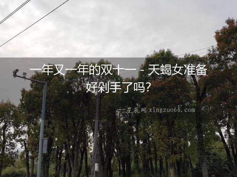 一年又一年的雙十一－天蝎女準備好剁手了嗎？