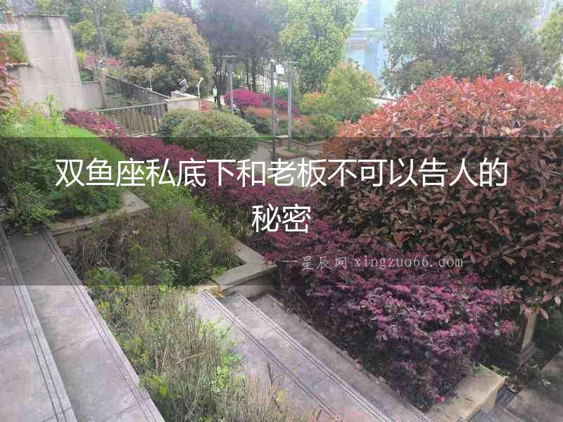 雙魚座私底下和老板不可以告人的秘密