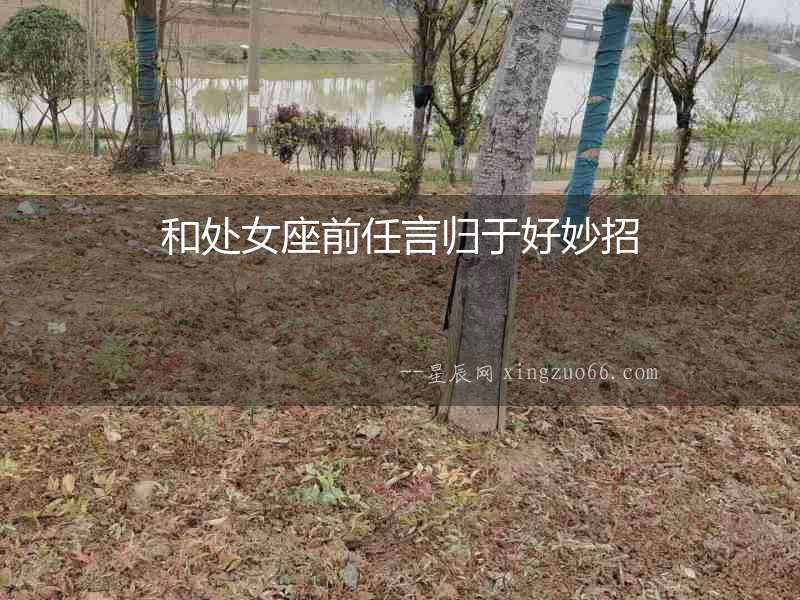 和處女座前任言歸于好妙招
