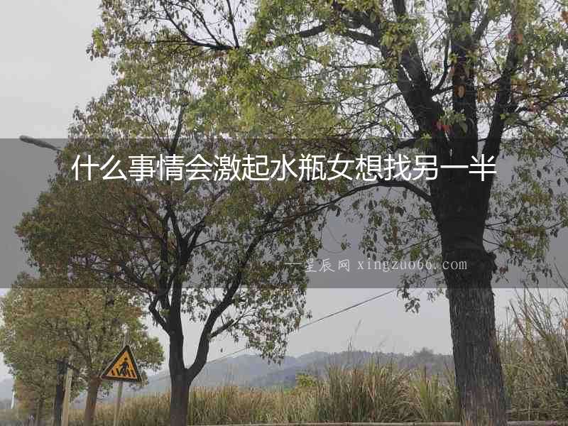 什么事情會激起水瓶女想找另一半